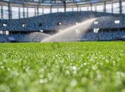 美洲杯小组,赛分组结果,正式公布,Bet365直播,体育赛事直播,在线直播,实时直播,体育平台,赛事观看